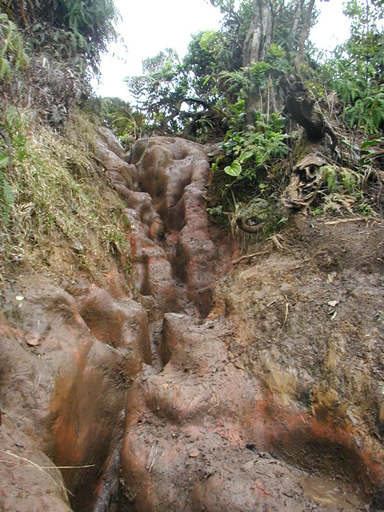 Pihea Trail